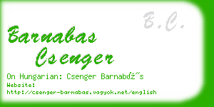 barnabas csenger business card